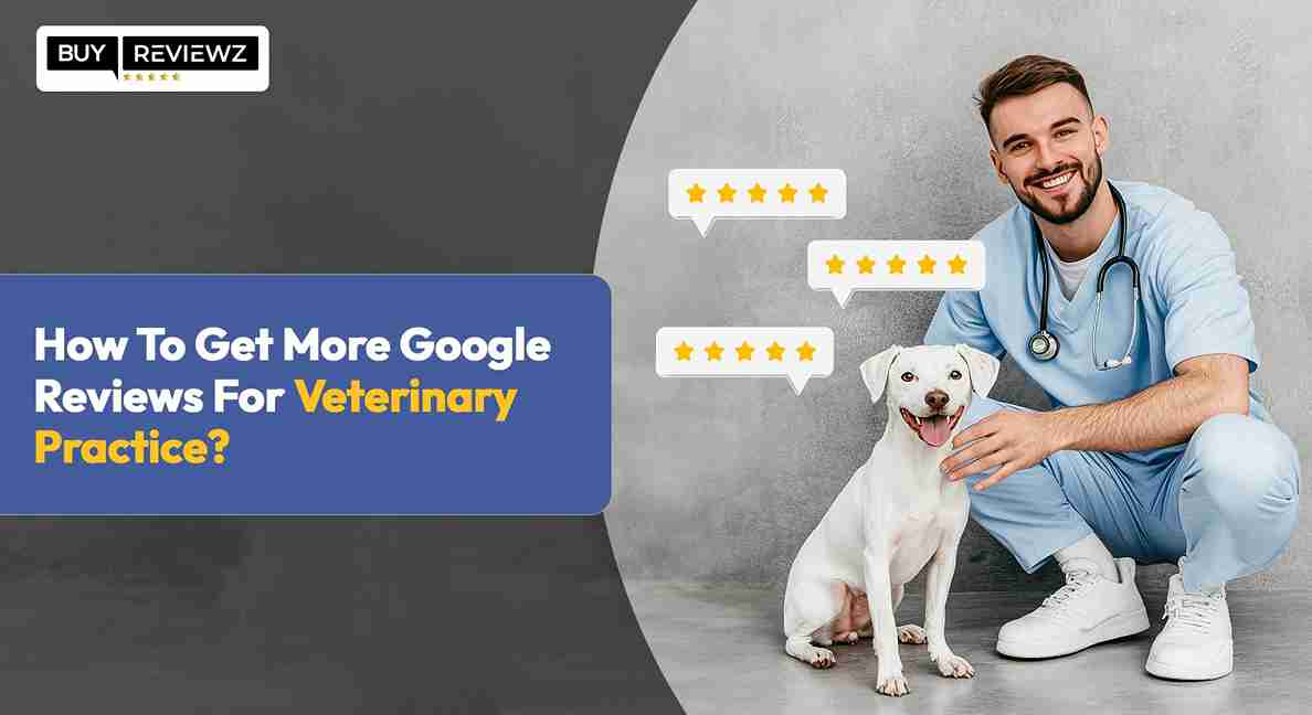 How To Get More Google Reviews For Veterinary Practice?