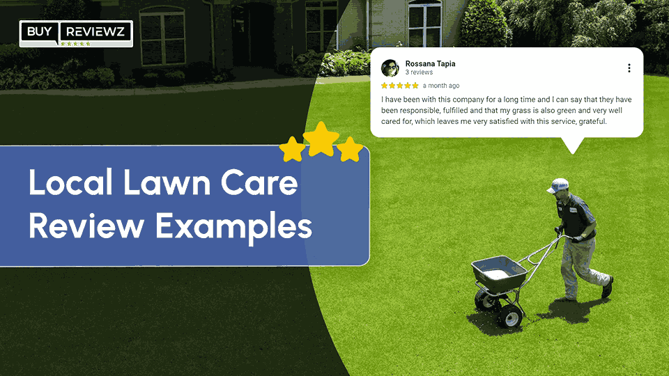 50+ Local Lawn Care Review Examples